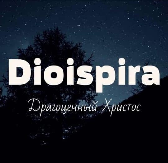 Драгоценный Христос - Dioispira