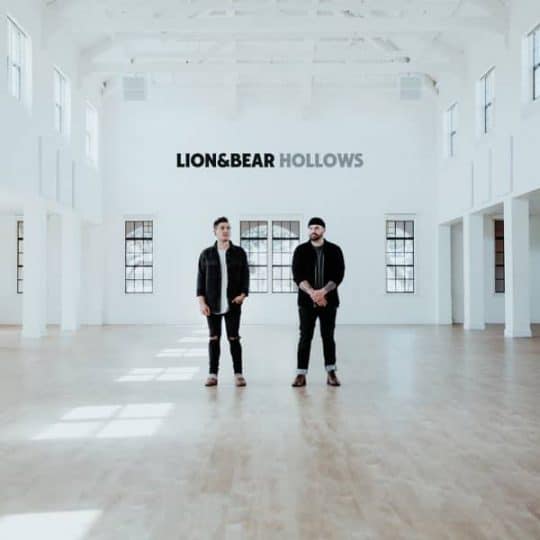 Hollows - Lion & Bear