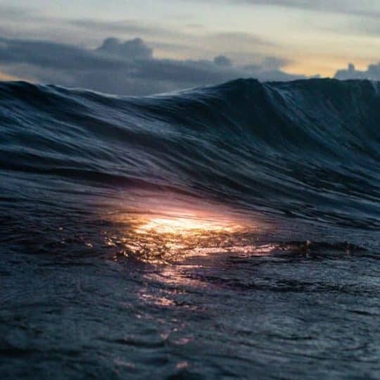 Pneuma (Live) - The Belonging Co