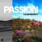 I've Witnessed It (Unplugged) - Passion