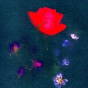 Hollow Grave (feat. Benjamin William Hastings) - Aodhan King