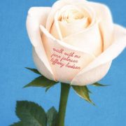 Walk With Me (feat. Tiffany Hudson) - Jenn Johnson