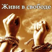 Живи в свободе - Viktor Suno