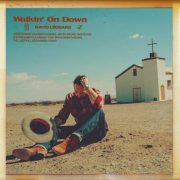 Walkin' On Down - David Leonard